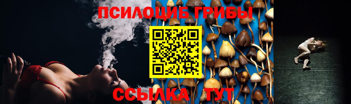 сколько стоит  Вход с VPN  Крымск  Псилоцибиновые грибы GOLDEN TEACHER 